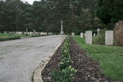 Bordon Military Cemetery Box Hedging Installation