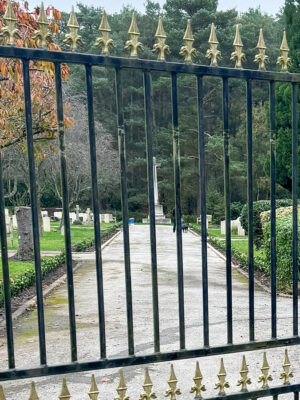 Bordon Military Cemetery Box Hedging Installation