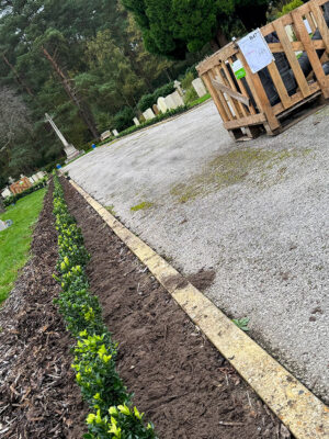 Bordon Military Cemetery Box Hedging Installation