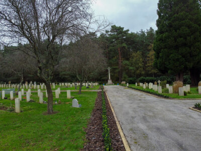 Bordon Military Cemetery Box Hedging Installation