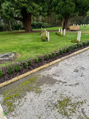 Bordon Military Cemetery Box Hedging Installation