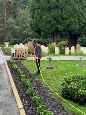 Bordon Military Cemetery Box Hedging Installation